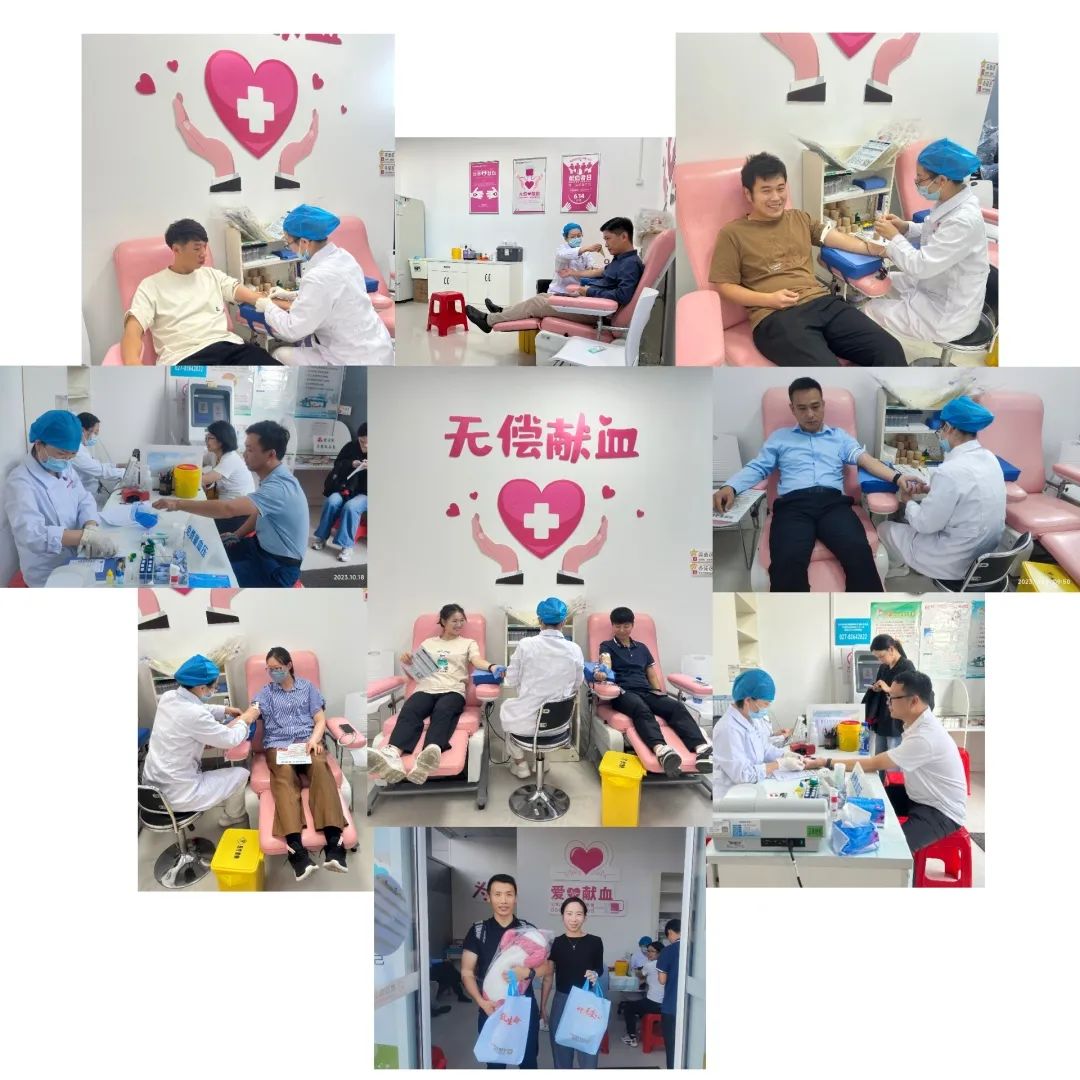 汇聚生命力量 弘扬志愿精神｜公司组织开展无偿献血公益活动