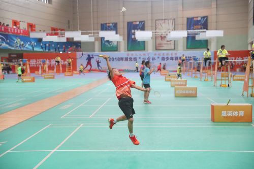 2018年省“协会杯”青少年羽毛球比赛在武汉体育中心开幕(图3)