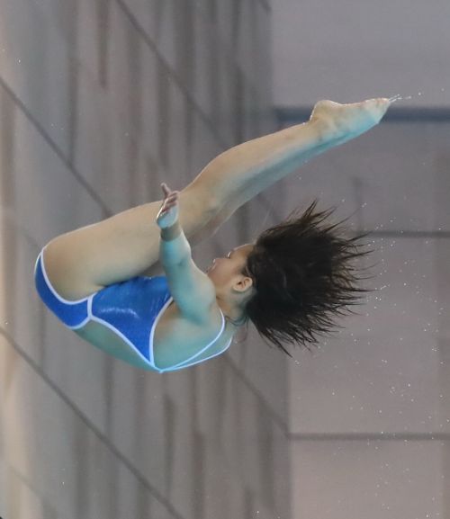 军运会跳水测试赛在武汉体育中心游泳馆举行(图3)