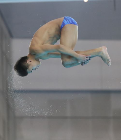 军运会跳水测试赛在武汉体育中心游泳馆举行(图2)